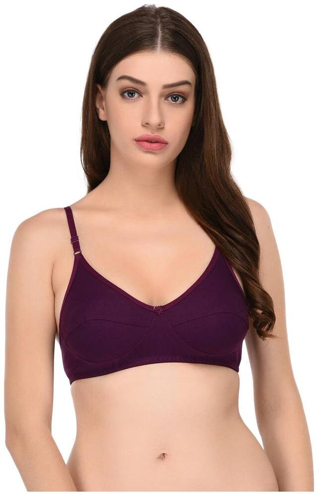 Elina Non Padded Cotton T Shirt Bra - Purple