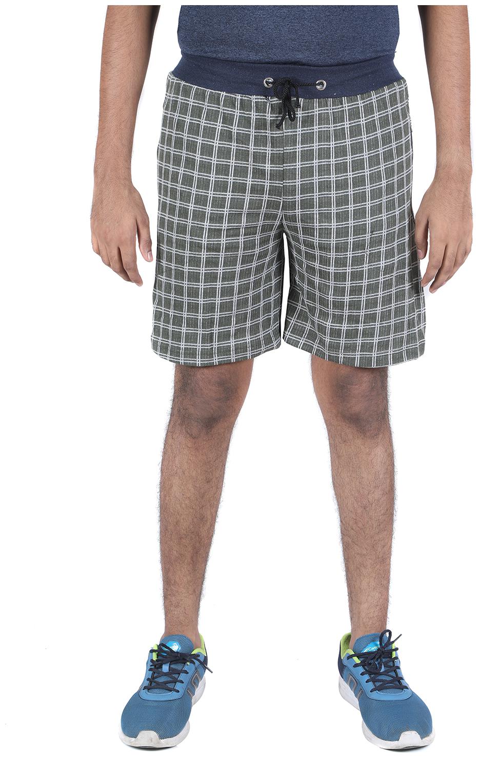 

Indirang Men Green White Regular Fit Regular Shorts