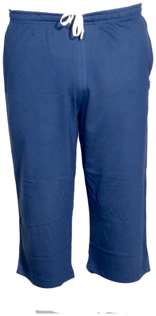 

Indiweaves Men Blue Regular Fit Regular Shorts