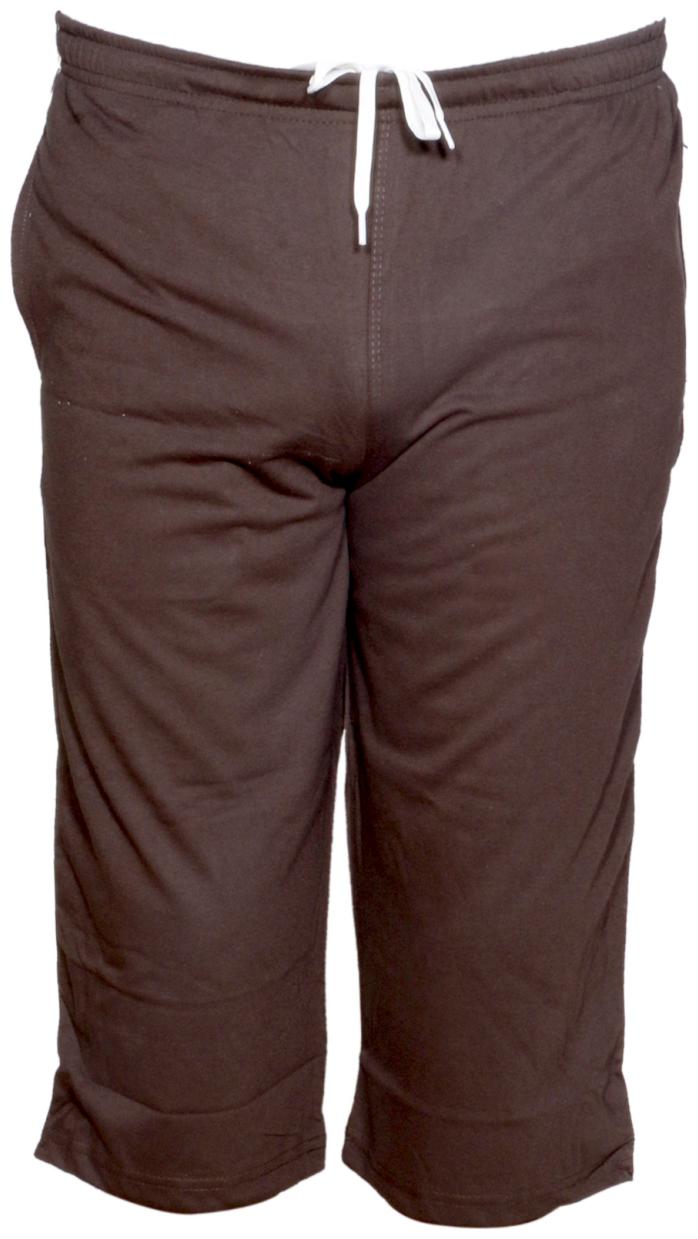 

Indiweaves Men Brown Regular Fit Regular Shorts