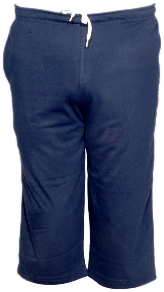 

Indiweaves Men Blue Regular Fit Regular Shorts