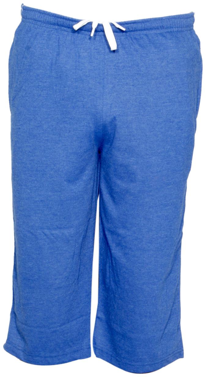 

Indiweaves Men Blue Regular Fit Regular Shorts