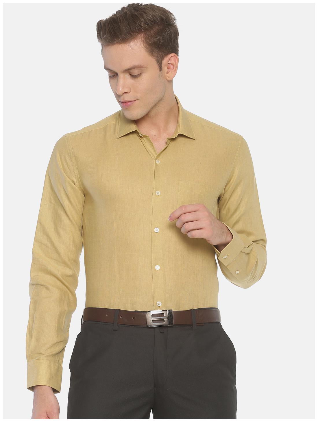 

Linen Club Men Regular fit Formal Shirt - Green