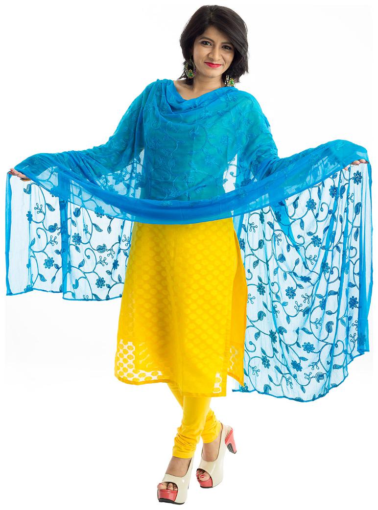 

Lodestone Women s Pure Chiffon Embroidered Dupatta (Firozi Blue)