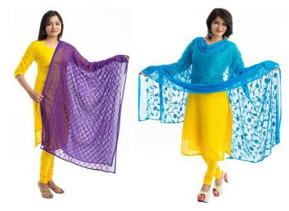 

Lodestone Women s Chiffon Embroidery Dupatta Pack of 2 (Purple Firoji)