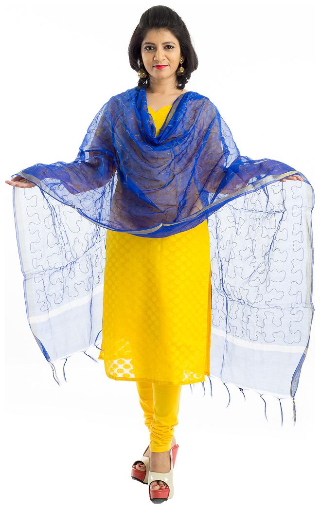 

Lodestone Women s Chanderi Embroidered Dupatta (Blue)