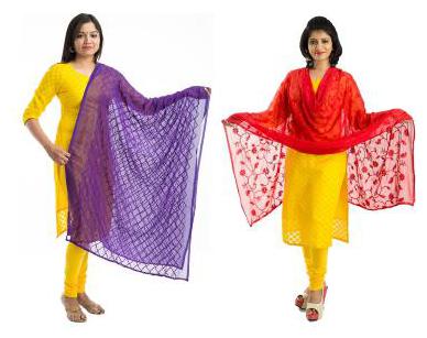 

Lodestone Women s Chiffon Embroidery Dupatta Pack of 2 (Purple Red)