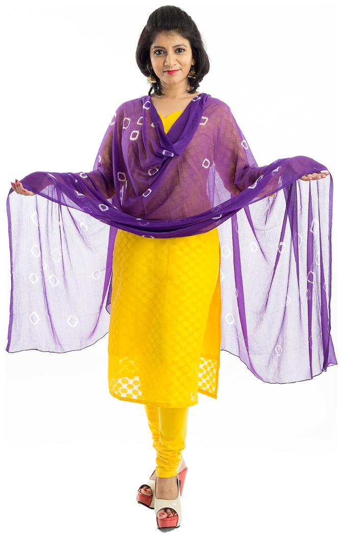 

Lodestone Women s Pure Chiffon Printed Dupatta (Purple)