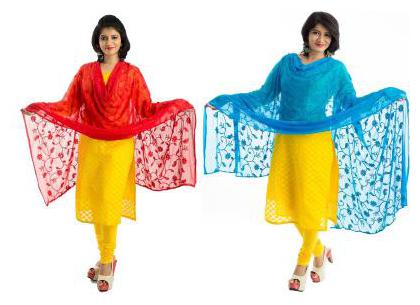 

Lodestone Women s Chiffon Embroidery Dupatta Pack of 2 (Red Firoji)