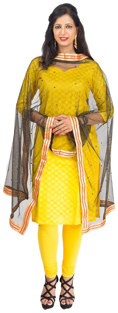 

Lodestone Women s Net Dupatta with Pearl and Lace work (Black)