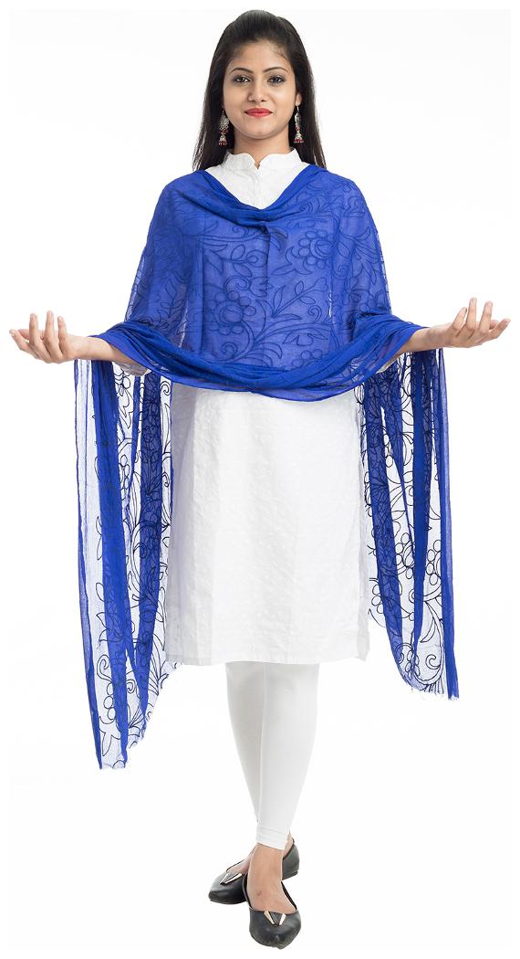 

Lodestone Woman s Chiffon Embroidery Dupatta (Blue)