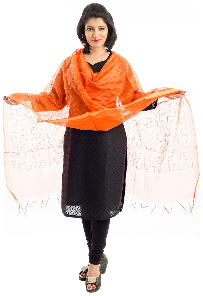

Lodestone Women s Chanderi Embroidered Dupatta (Orange)