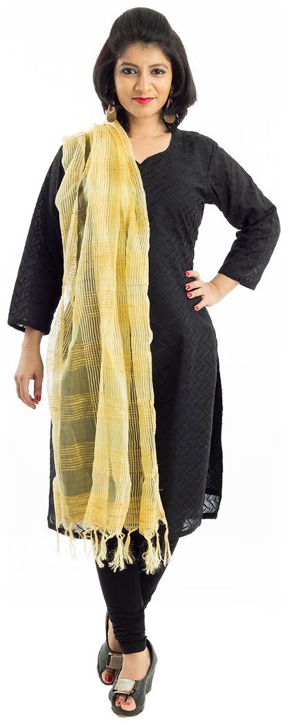 

Lodestone Women s Net Self Design Dupatta (Golden)