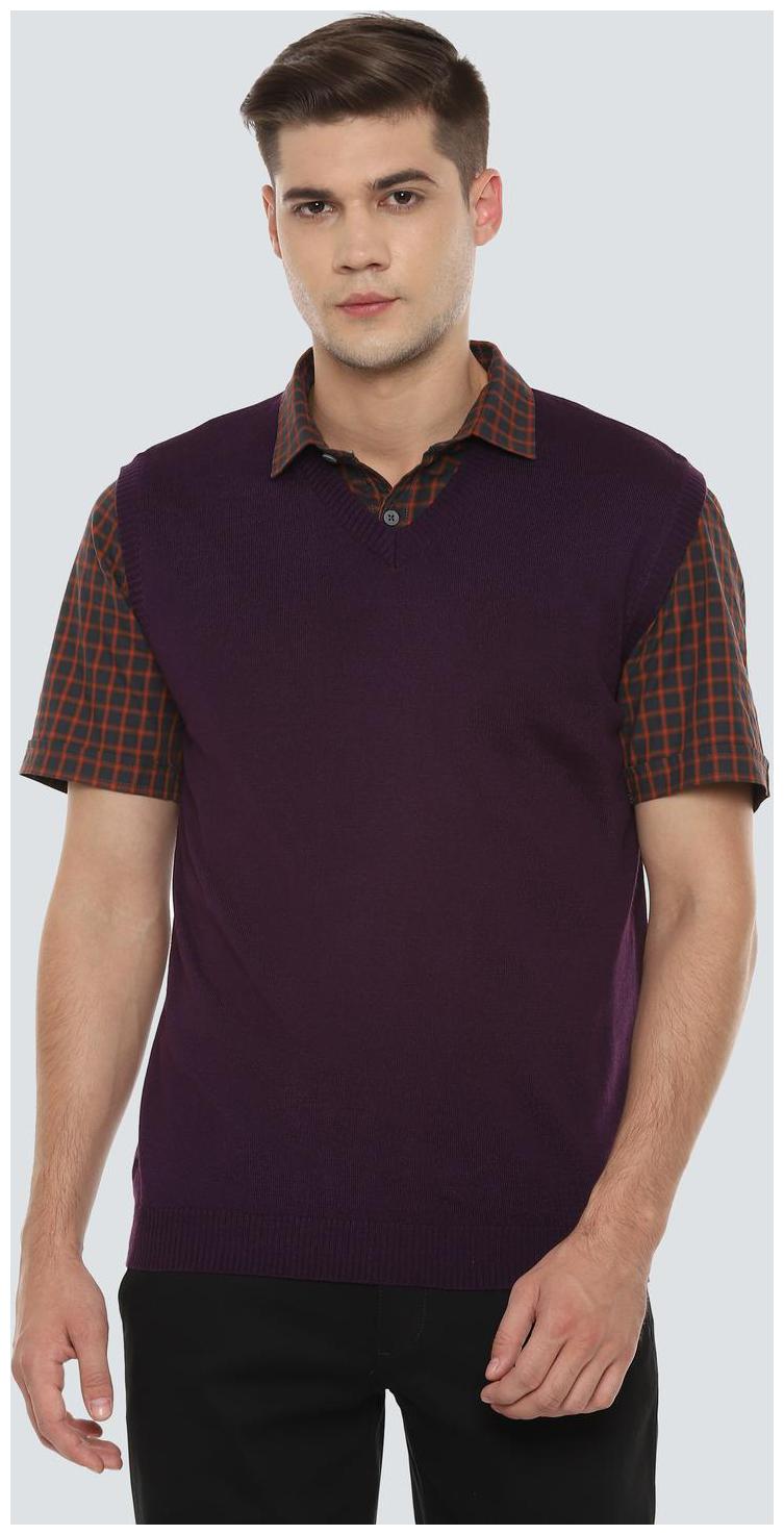 

Louis Philippe Men Purple V neck Pullover
