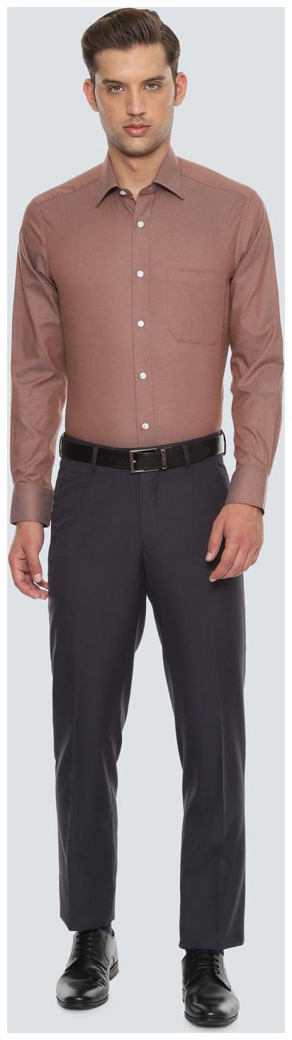 

Louis Philippe Men Regular fit Formal Shirt - Brown