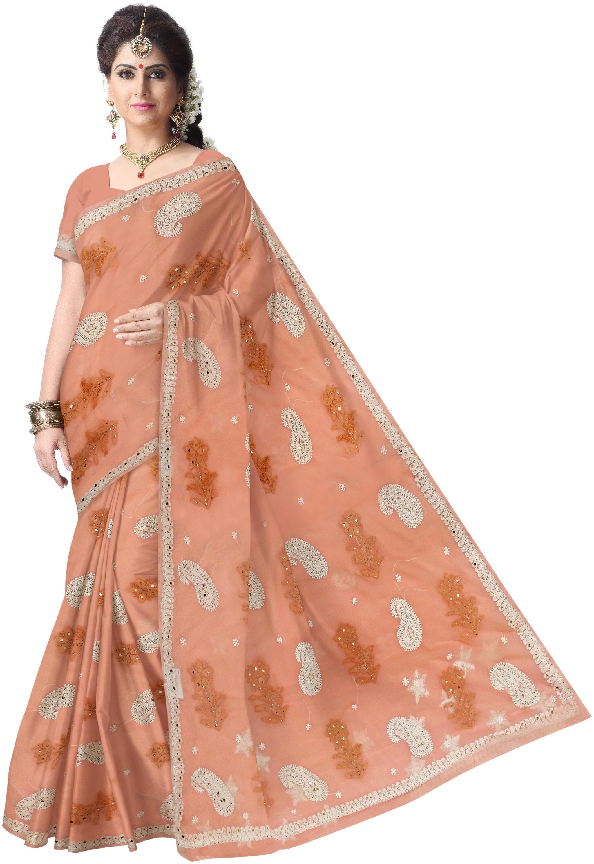 

LUCKNOW CHIFFON CHIKANKARI SAREE WITH BP