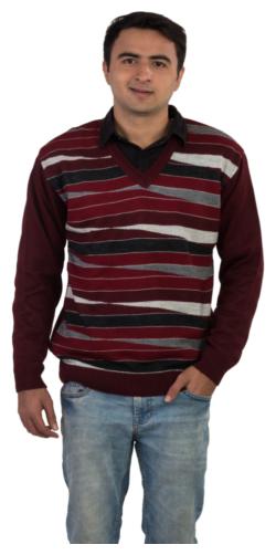 

Modo Vivendi Men Multi V neck Pullover