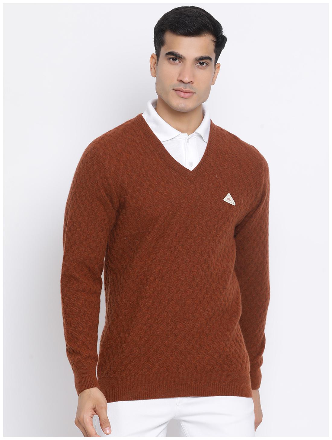 

Monte Carlo Men Brown V neck Pullover