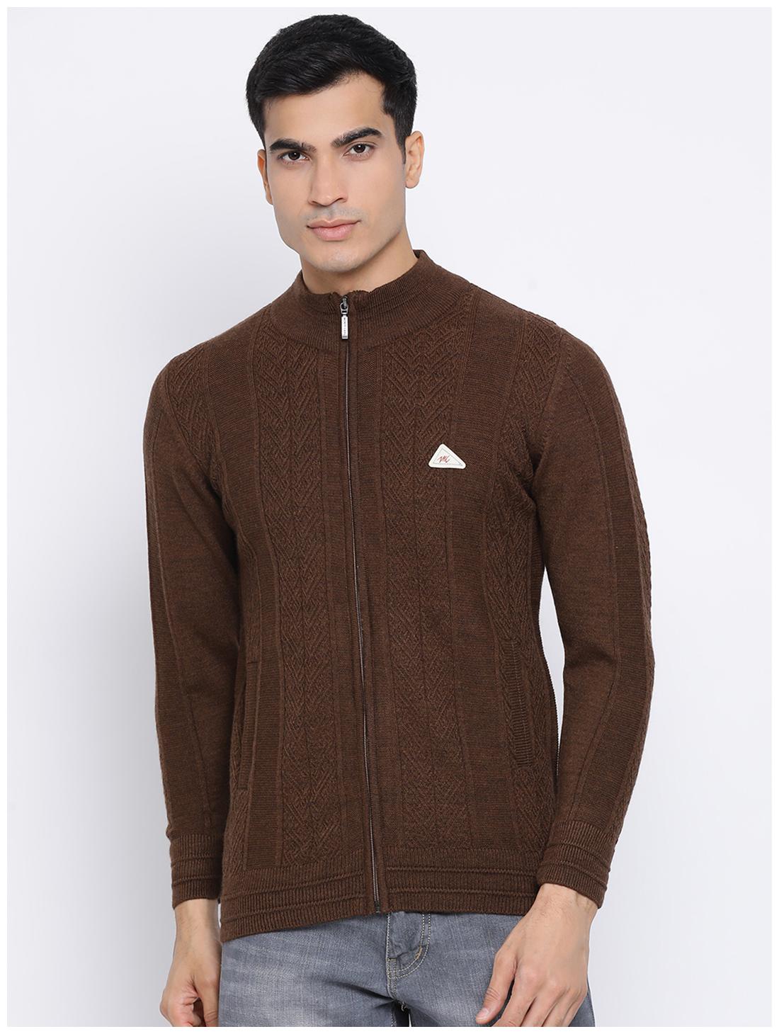 

Monte Carlo Men Brown Round neck Pullover