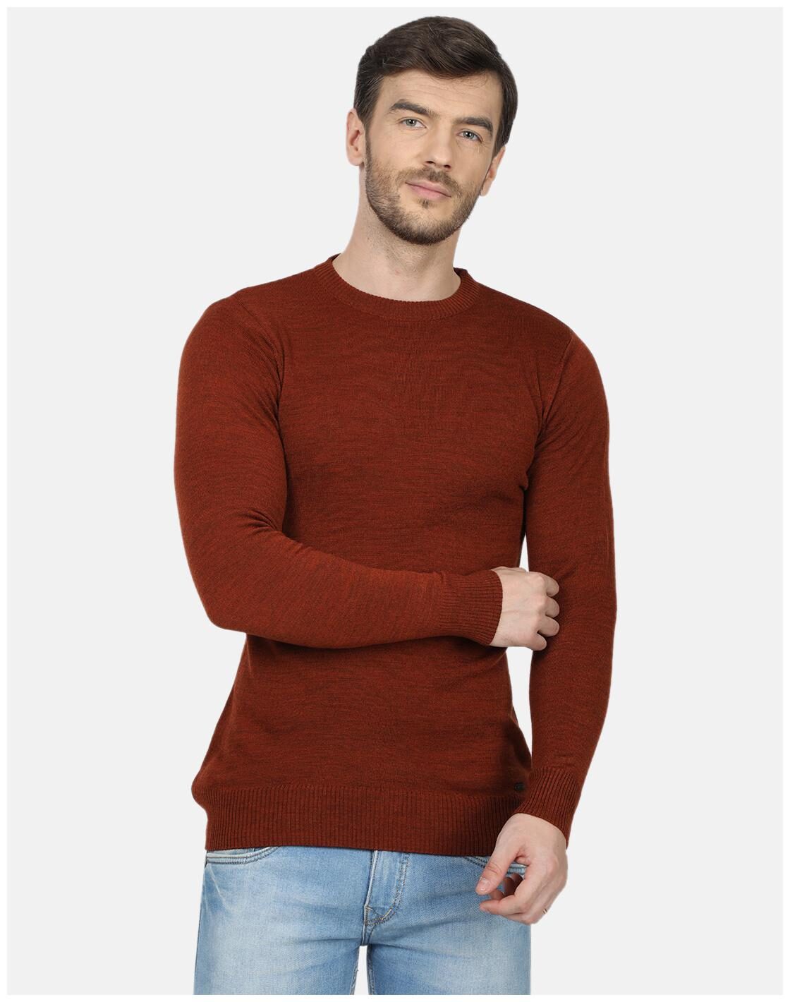 

Monte Carlo Men Brown Round neck Pullover