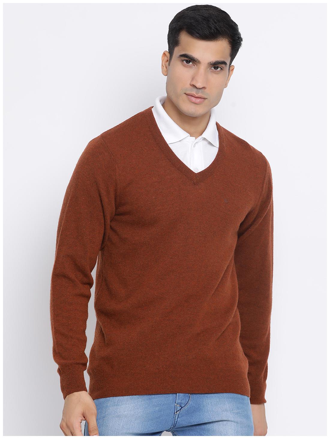 

Monte Carlo Men Brown V neck Pullover