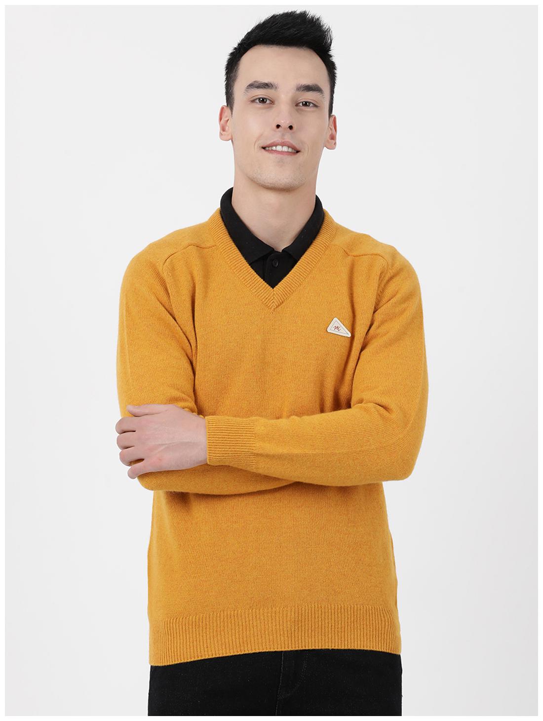 

Monte Carlo Men Yellow V neck Pullover