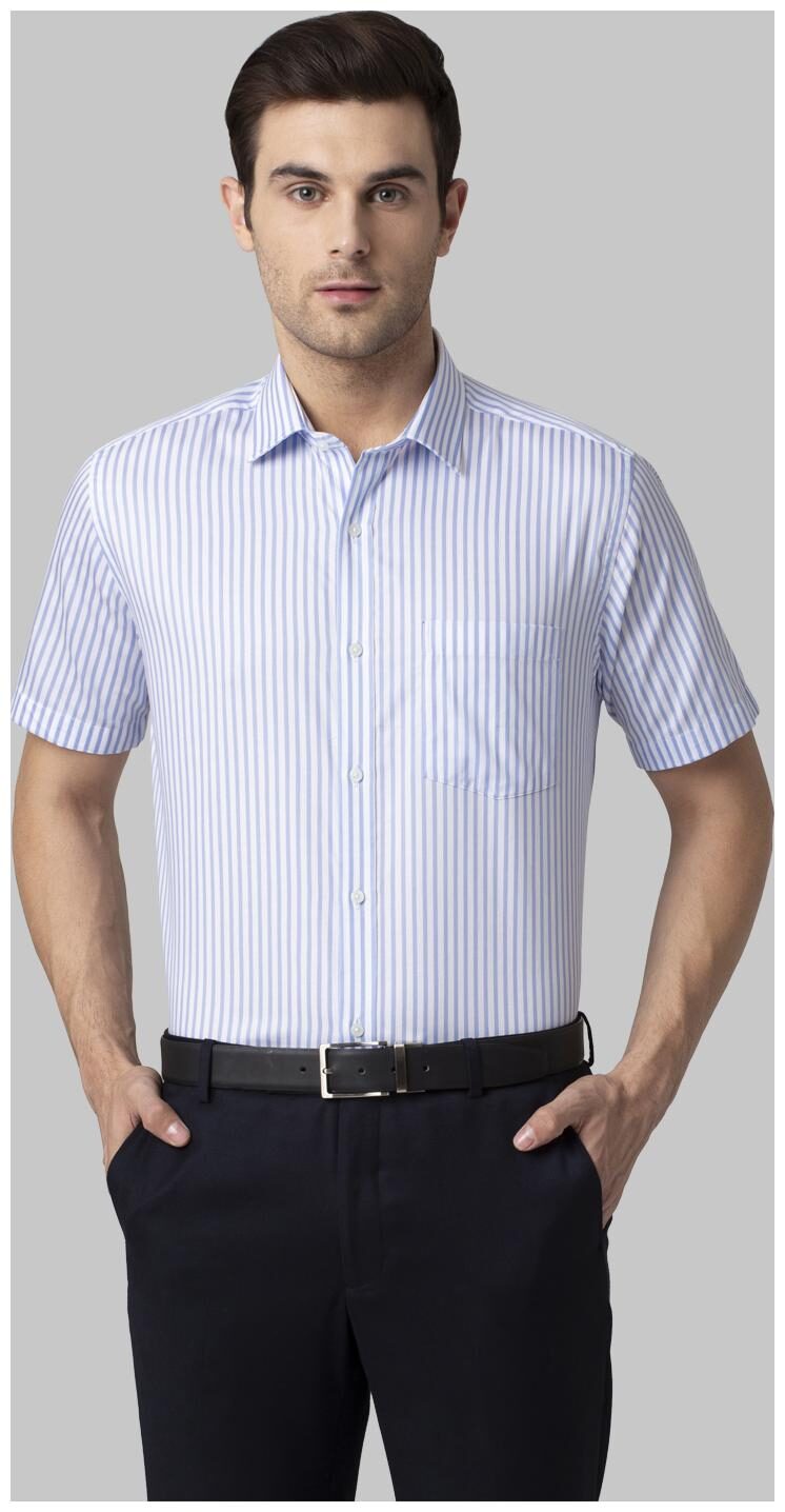 

Park Avenue Men Regular fit Formal Shirt - Blue