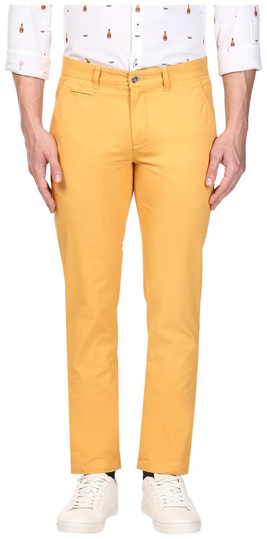

Park Avenue Men Yellow Solid Tapered fit Regular trousers