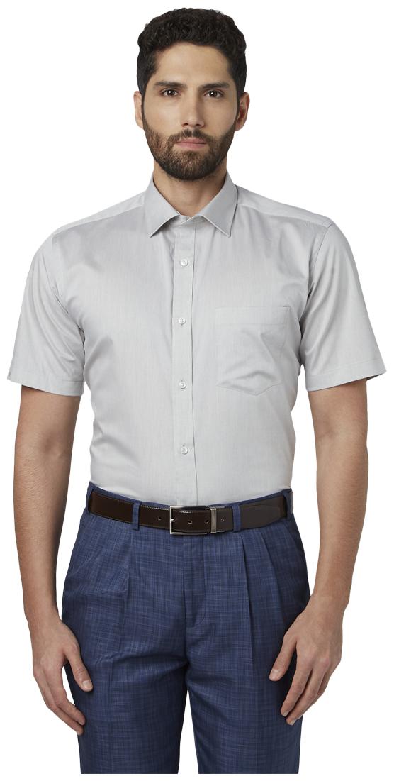 

Park Avenue Men Regular fit Formal Shirt - Grey