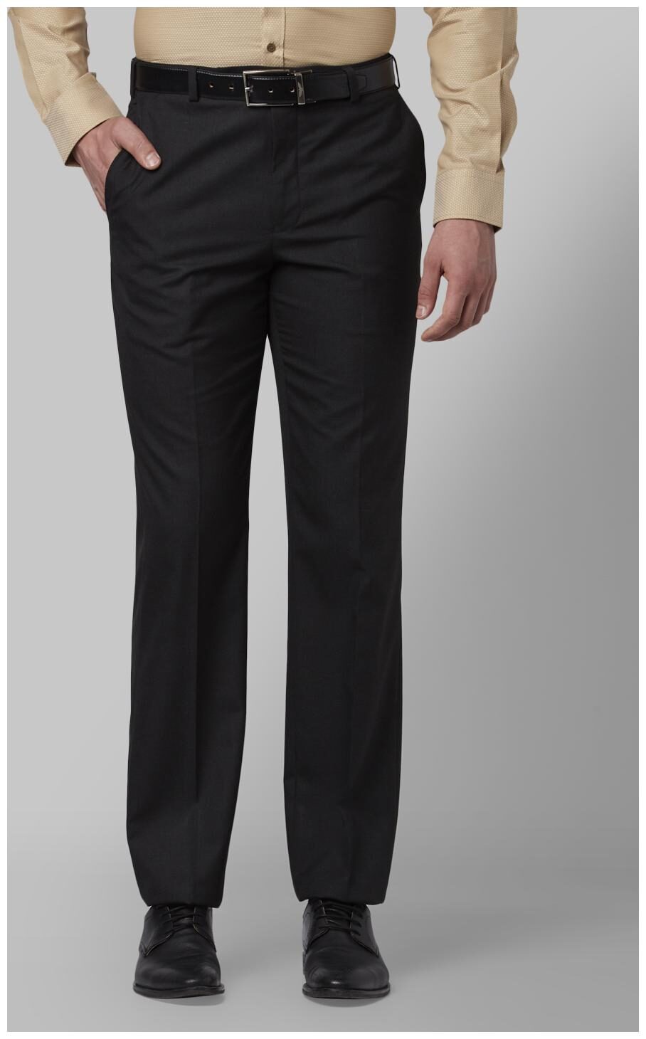 

Park Avenue Men Solid Regular Fit Formal Trouser - Grey