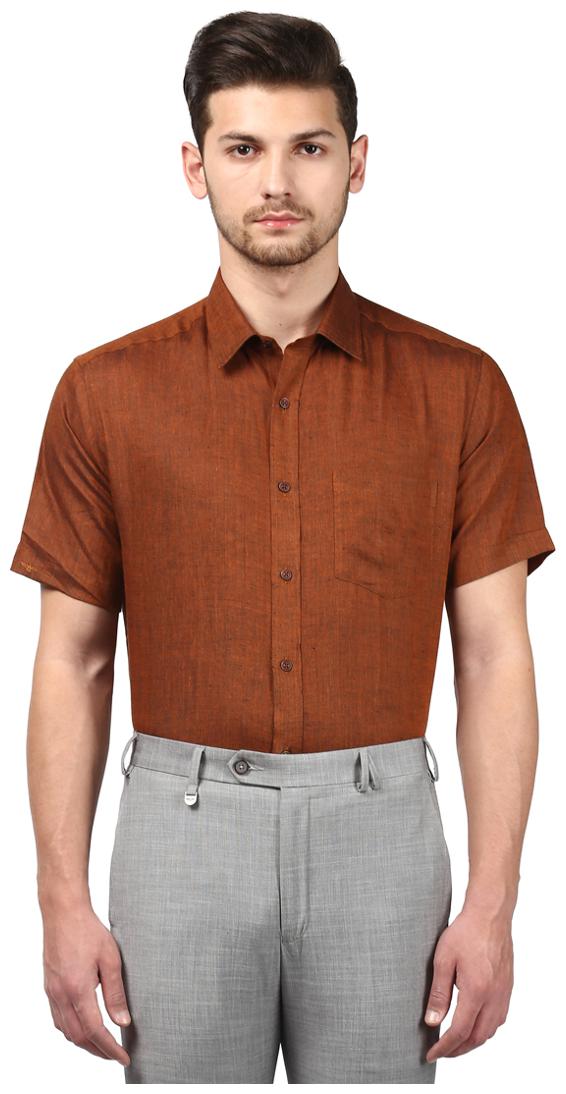 

Park Avenue Men Regular fit Formal Shirt - Brown