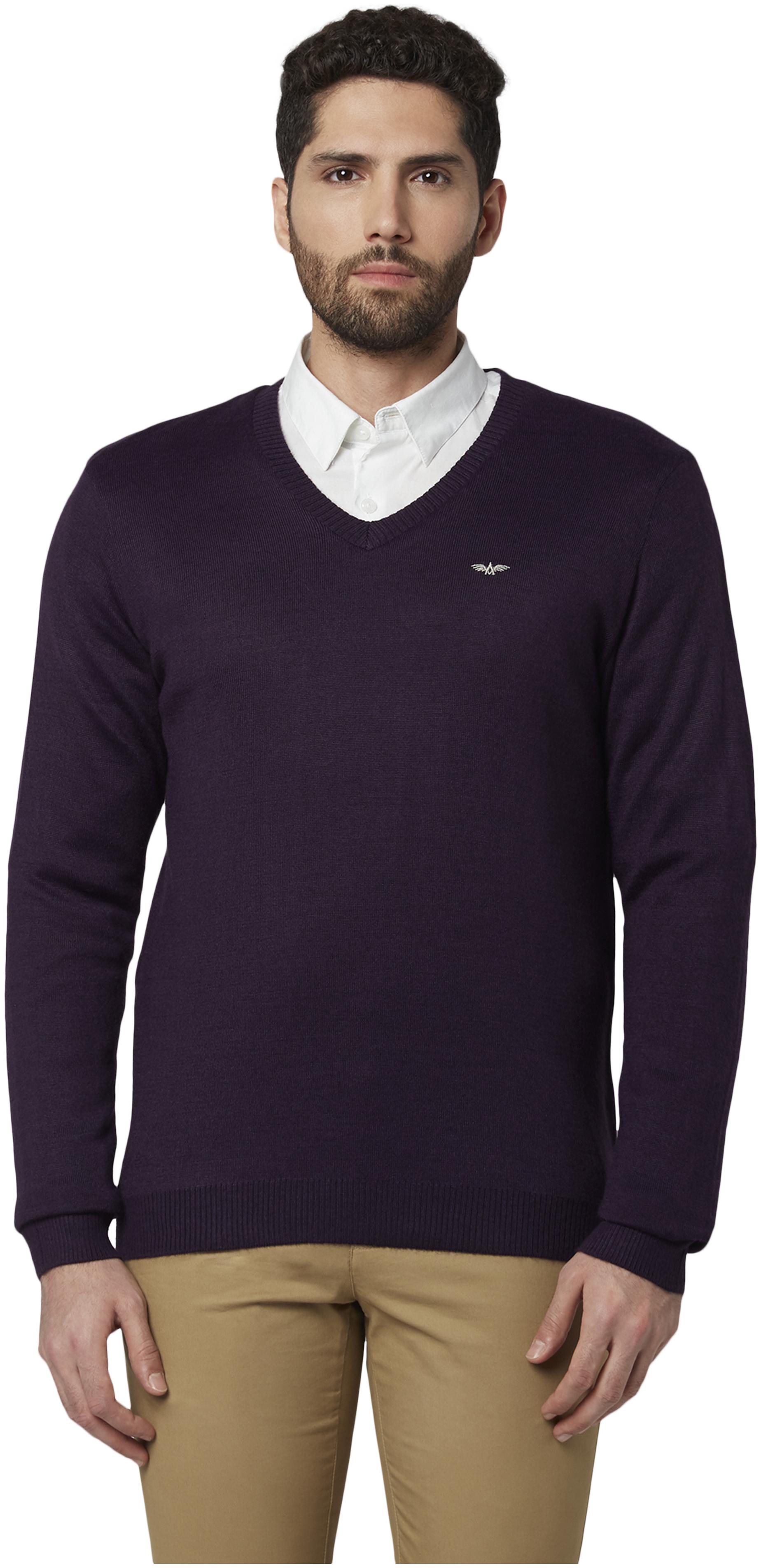 

Park Avenue Men Wool Pullover Purple color