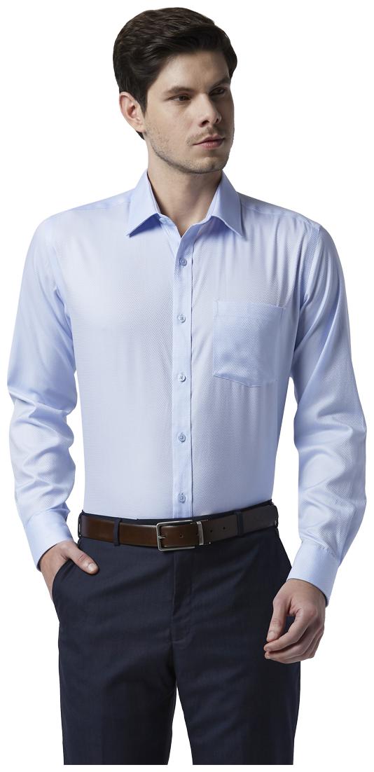 

Park Avenue Men Regular fit Formal Shirt - Blue
