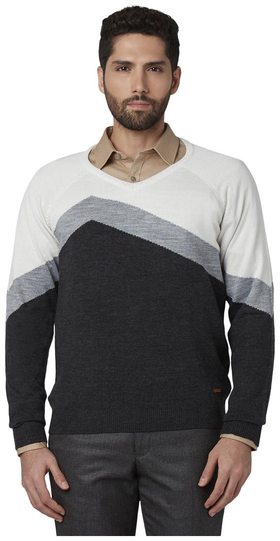 

Park Avenue Men Black V neck Pullover