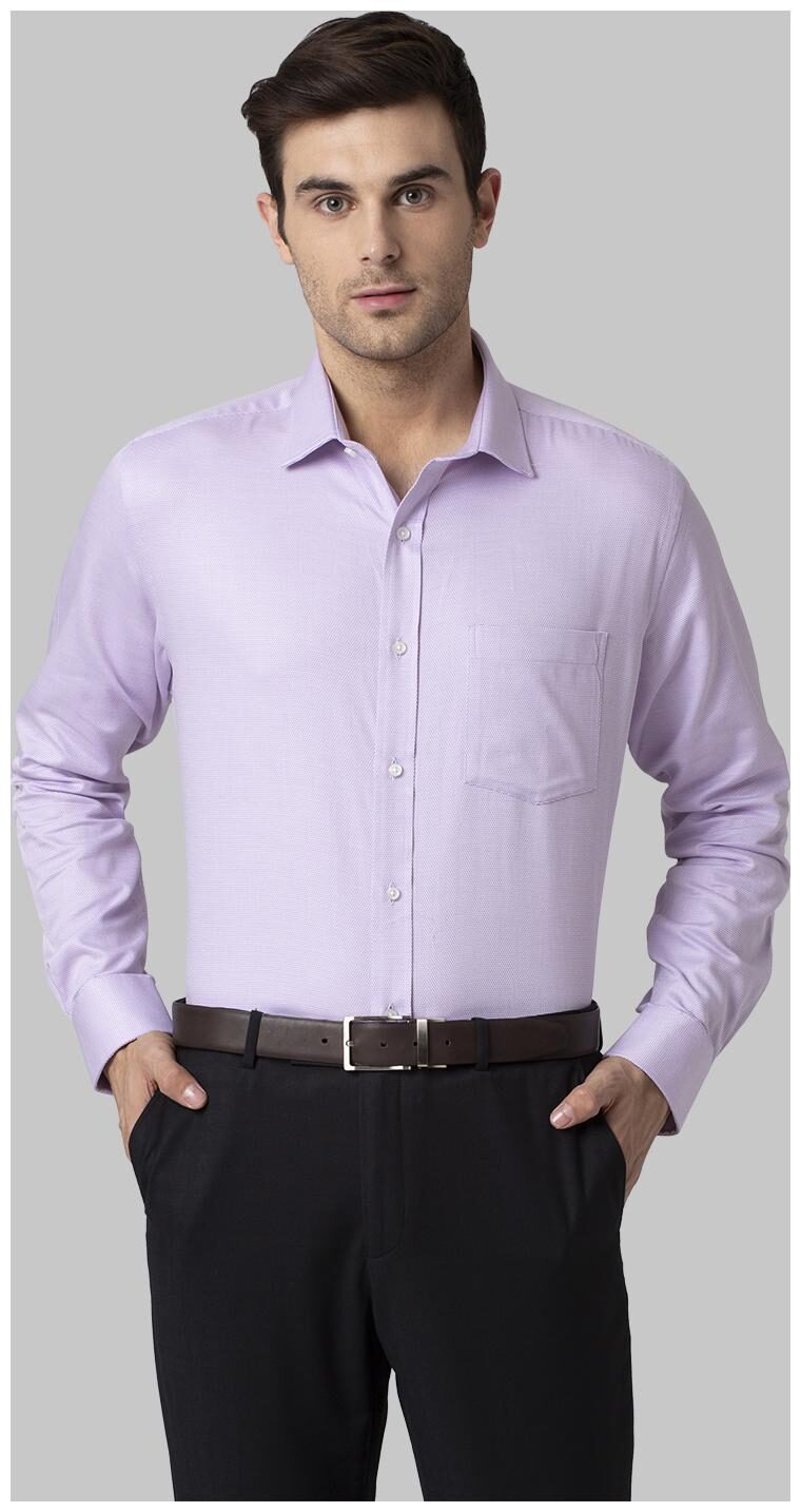 

Park Avenue Men Regular fit Formal Shirt - Purple