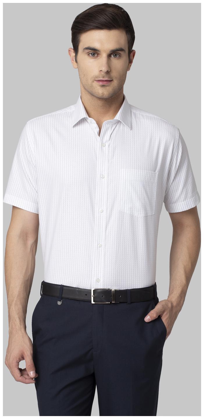 

Park Avenue Men Regular fit Formal Shirt - Grey