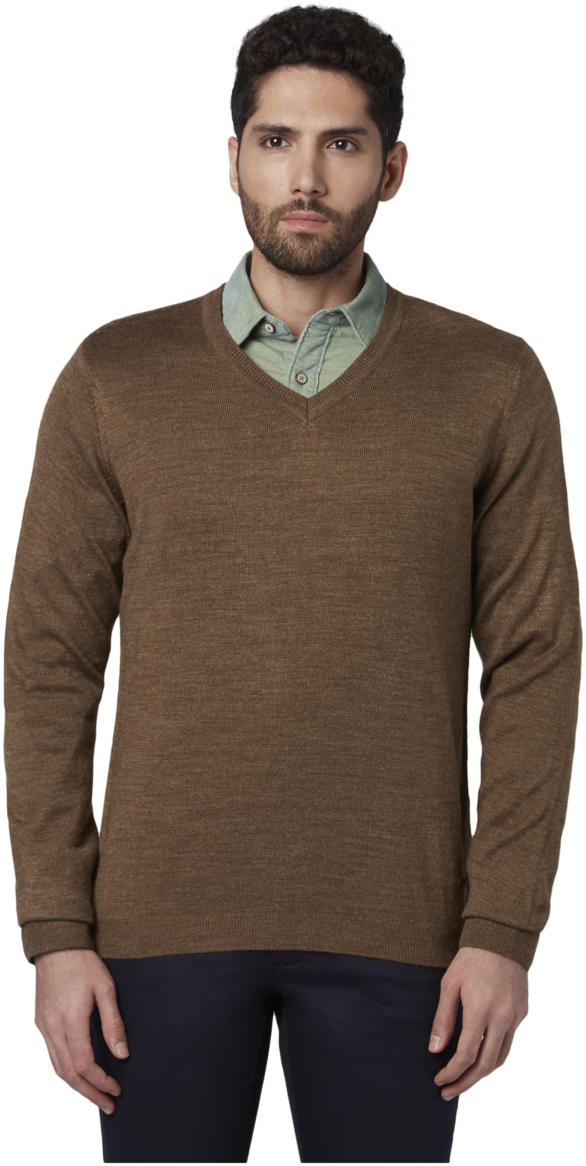 

Park Avenue Men Acrylic Pullover Brown color