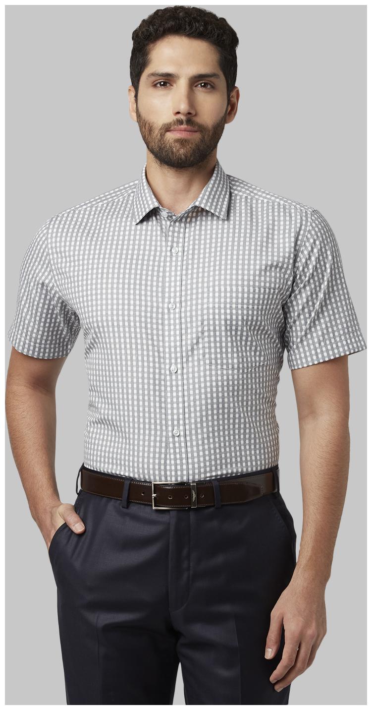 

Park Avenue Men Regular fit Formal Shirt - Grey