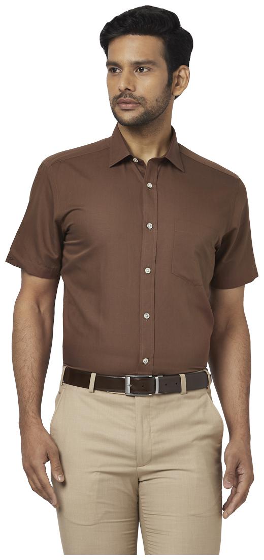 

Park Avenue Men Brown Solid Regular Fit Casual Shirt