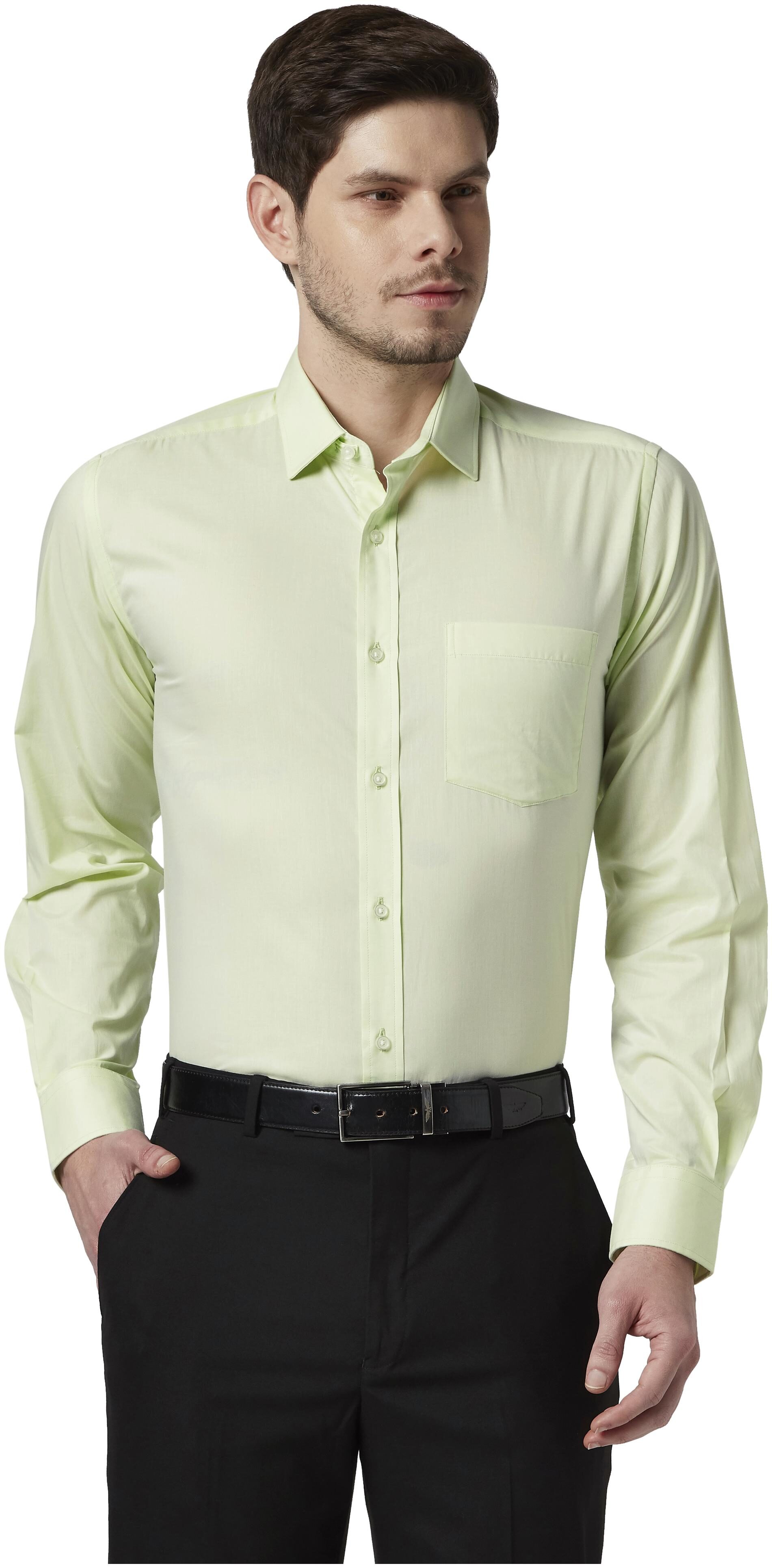 

Park Avenue Men Regular fit Formal Shirt - Green