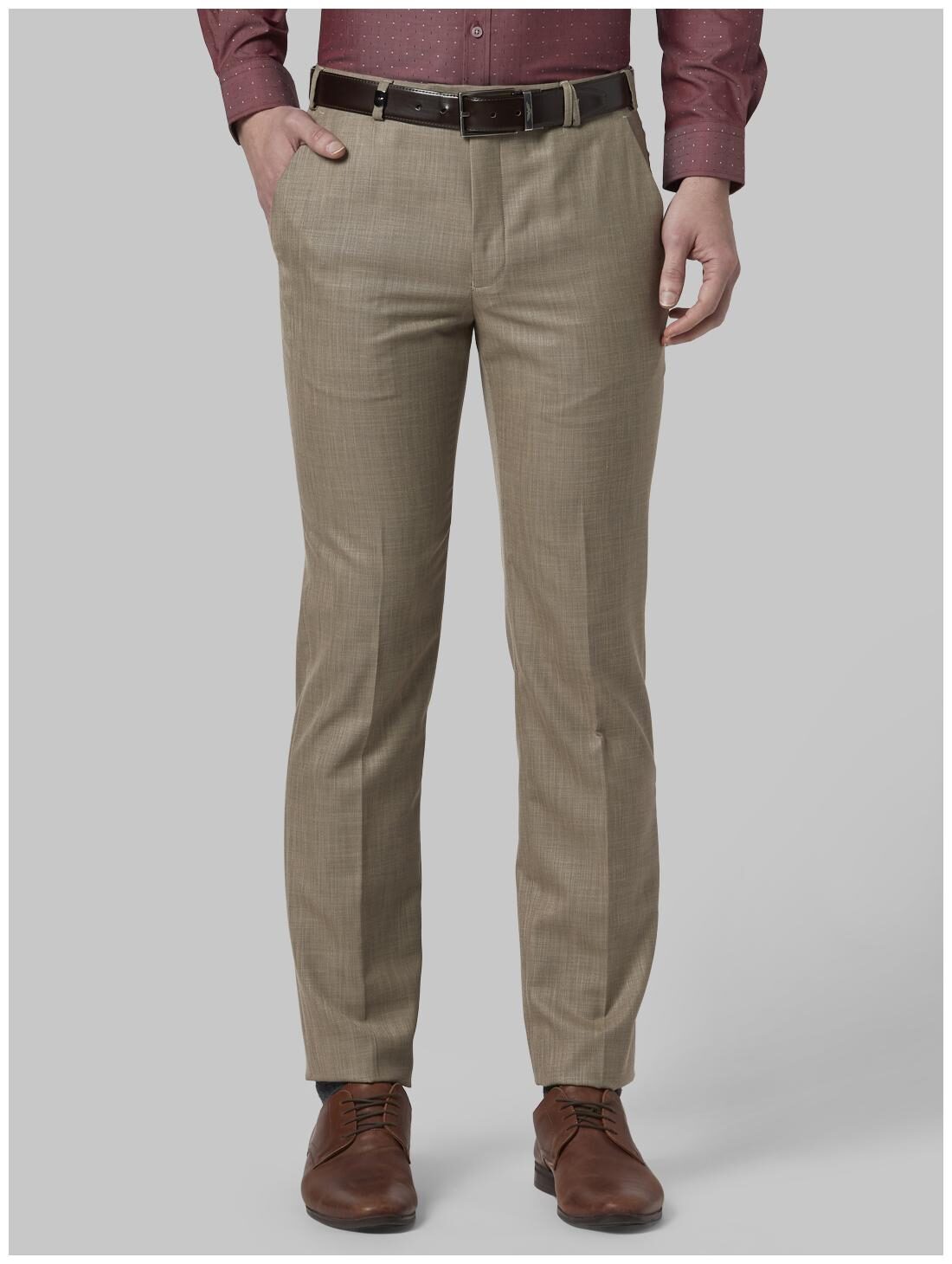 

Park Avenue Men Textured Slim Fit Formal Trouser - Beige
