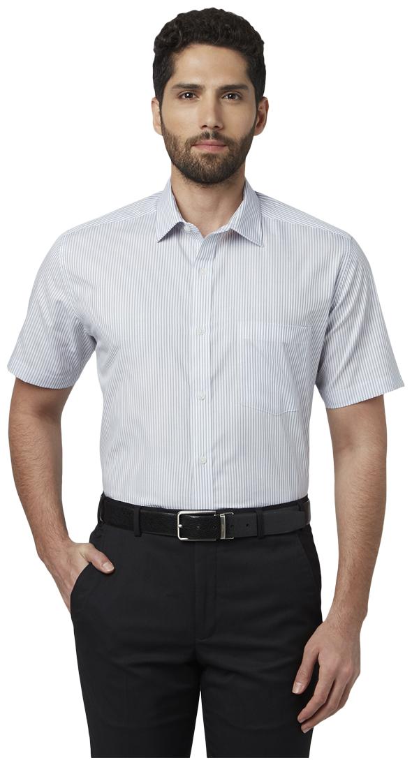 

Park Avenue Men Regular fit Formal Shirt - Grey