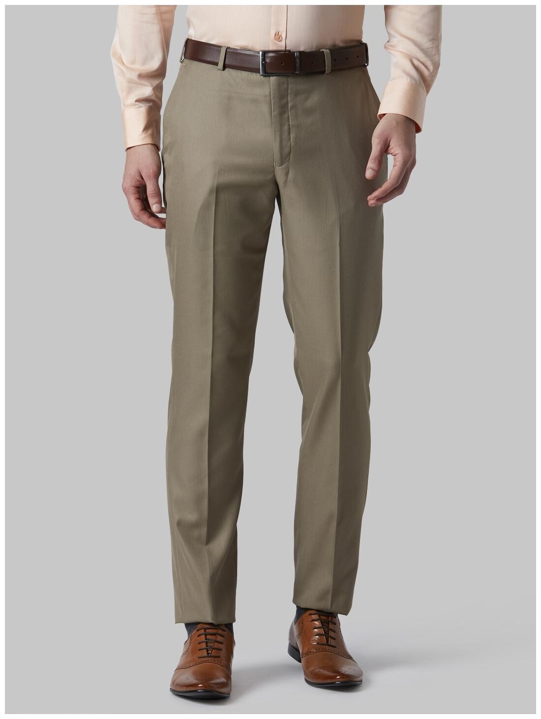 

Park Avenue Men Solid Regular Fit Formal Trouser - Beige