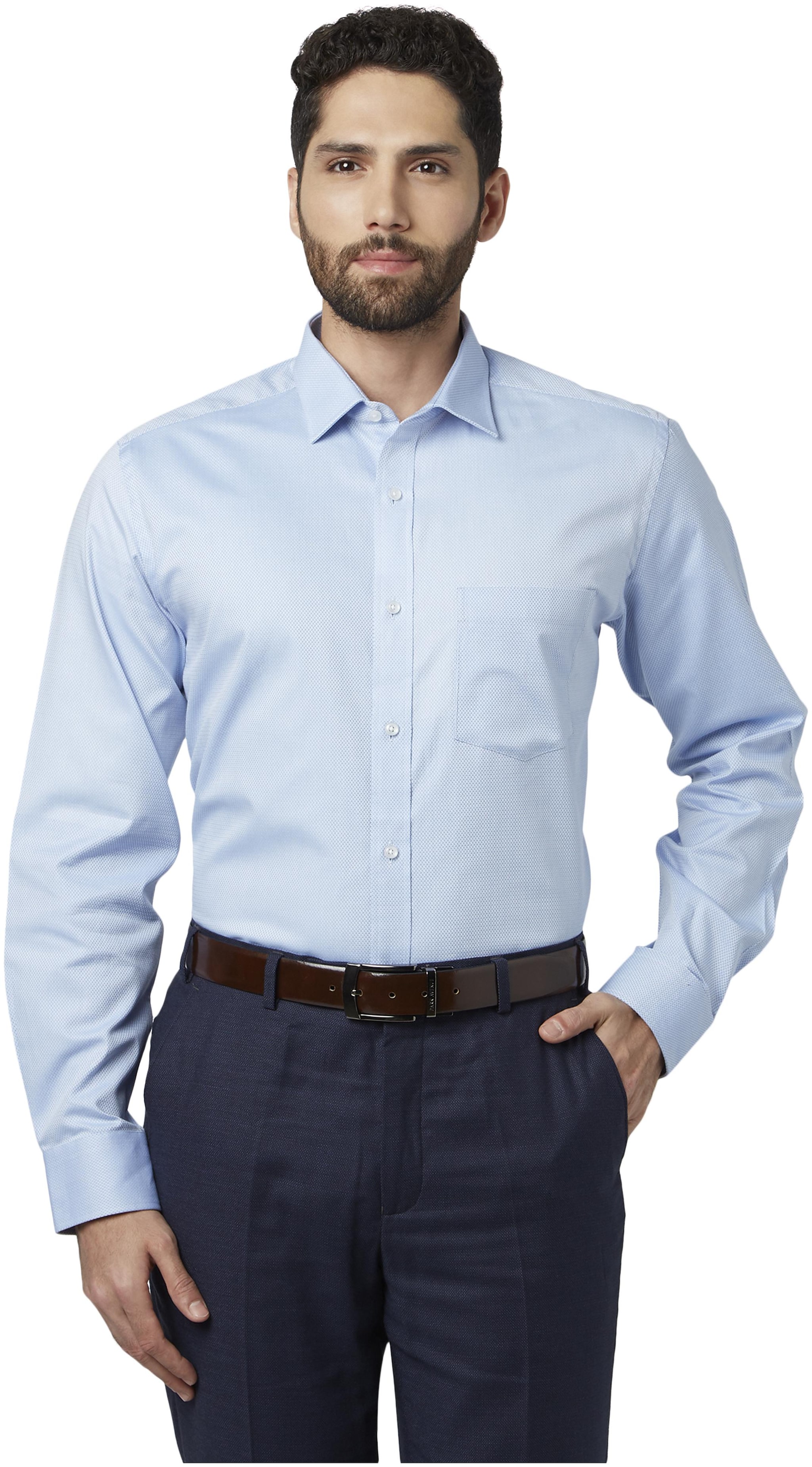 

Park Avenue Men Regular fit Formal Shirt - Blue