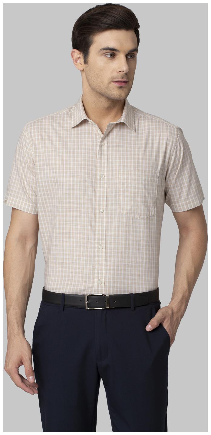 

Park Avenue Men Regular fit Formal Shirt - Beige