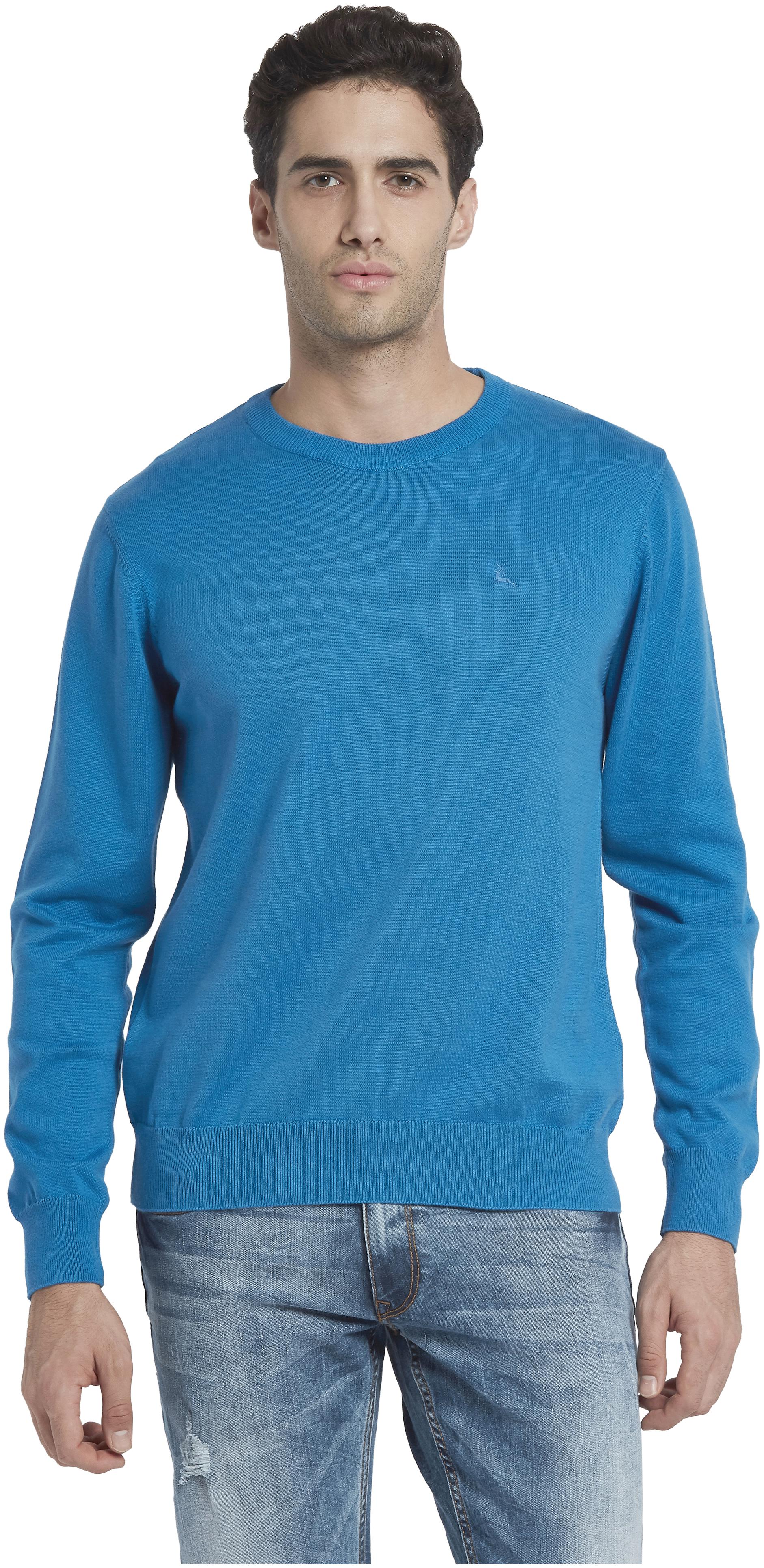 

Parx Men Blue Round neck Pullover