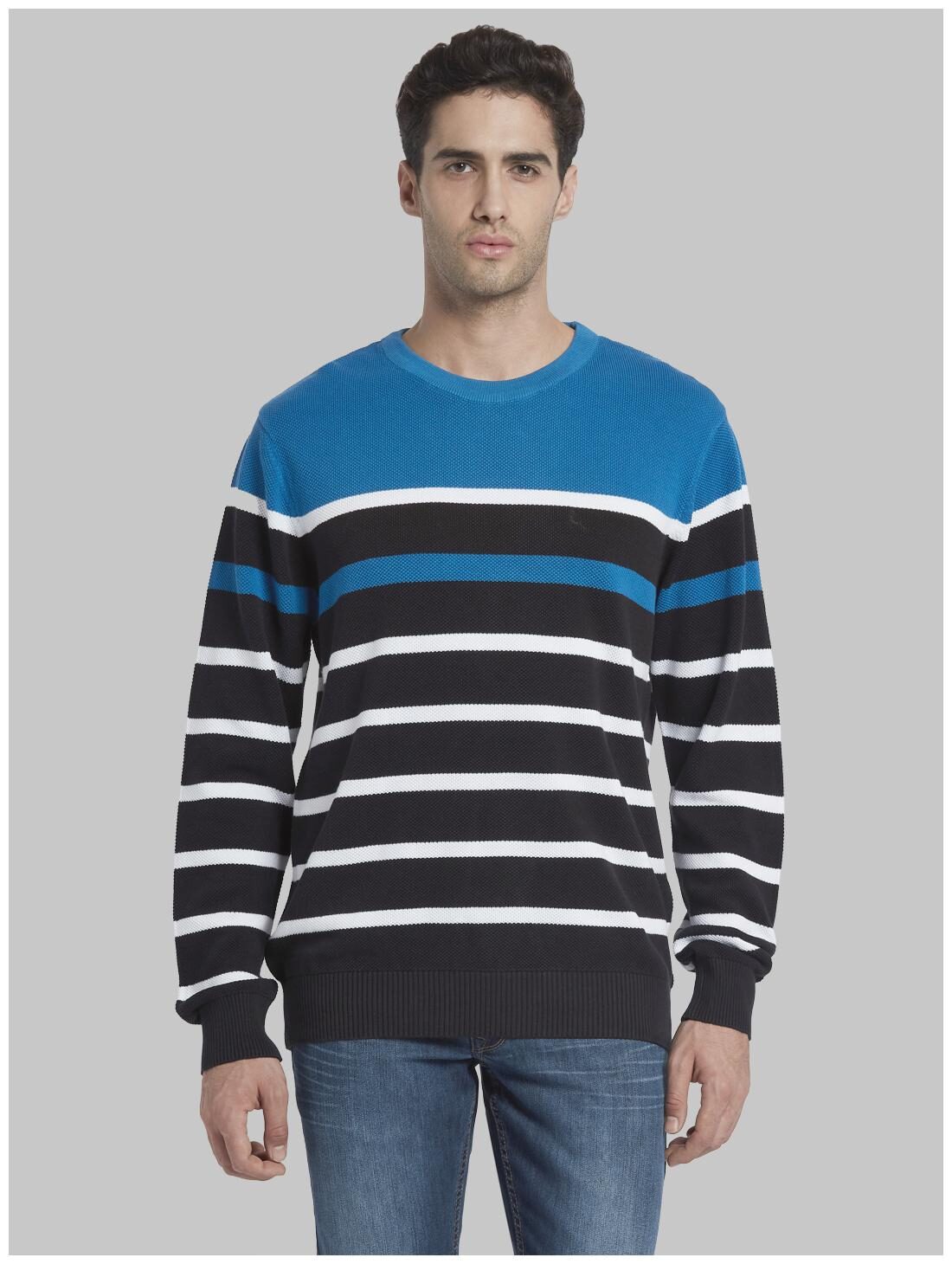 

Parx Men Blue Round neck Pullover