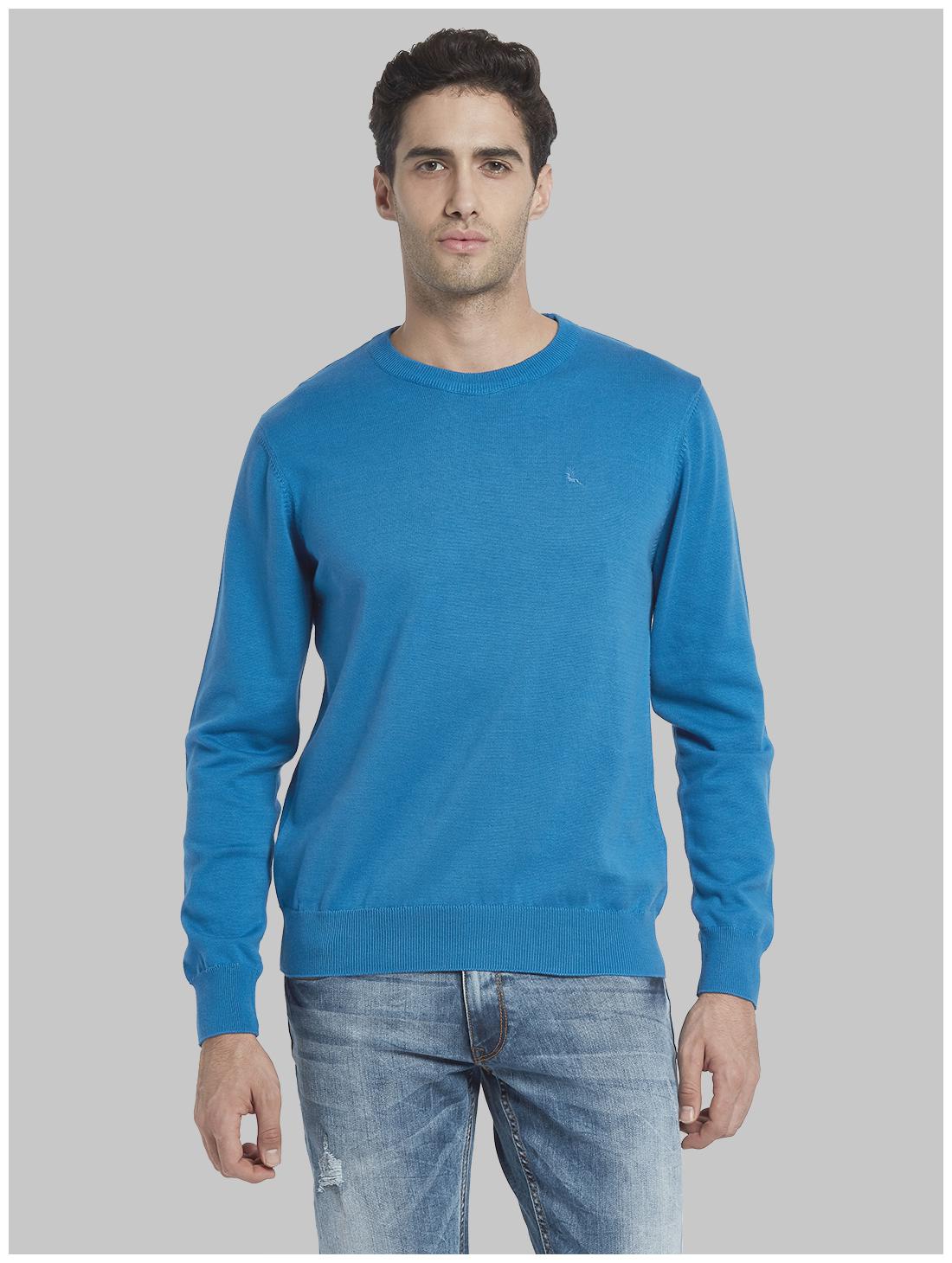 

Parx Men Blue Round neck Pullover