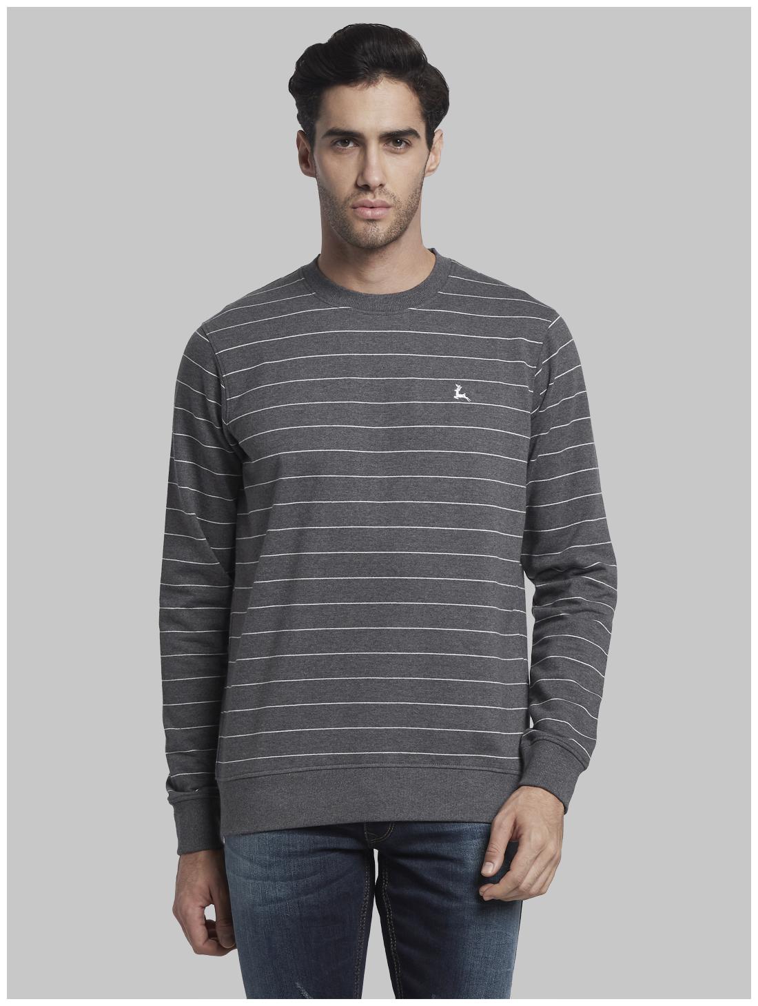 

Parx Men Grey Round neck Sweatshirt