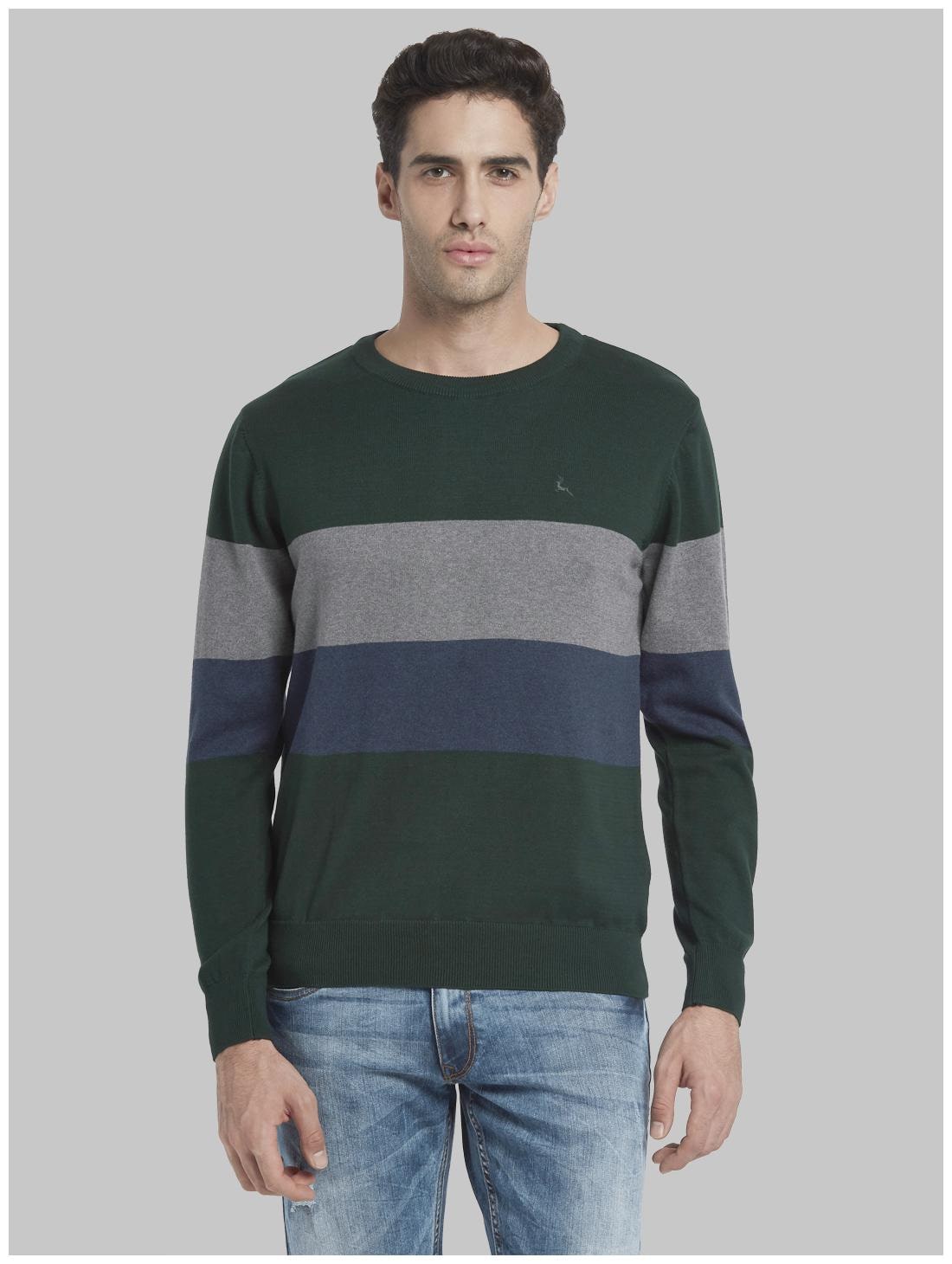 

Parx Men Green Round neck Pullover